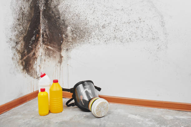 Mcnair, VA Mold Remediation Company