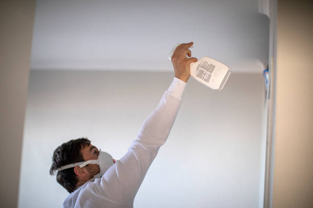 Best Mold Remediation for Schools in Mcnair, VA