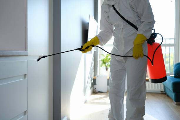 Best Crawl Space Mold Remediation in Mcnair, VA