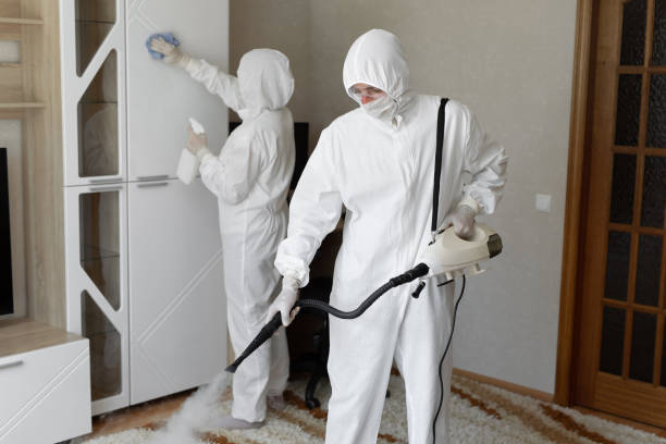 Best HVAC Mold Remediation in Mcnair, VA