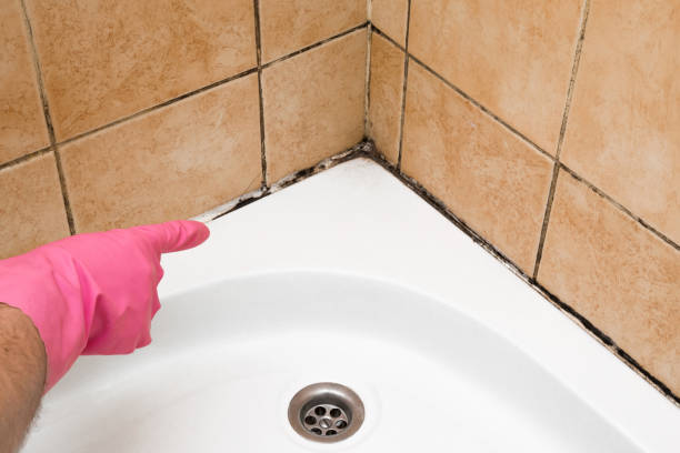 Best Preventive Mold Services in Mcnair, VA